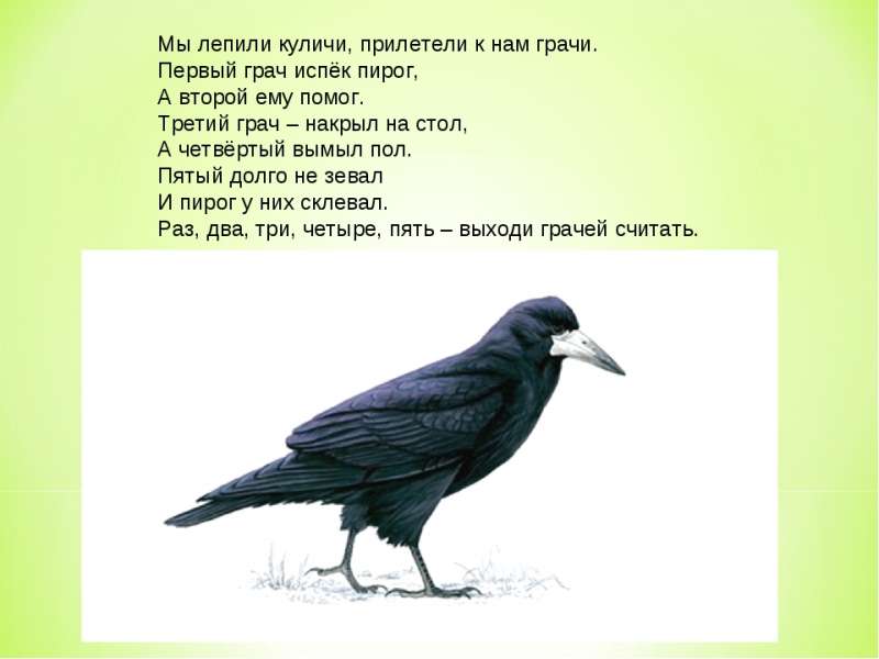 img14.jpg