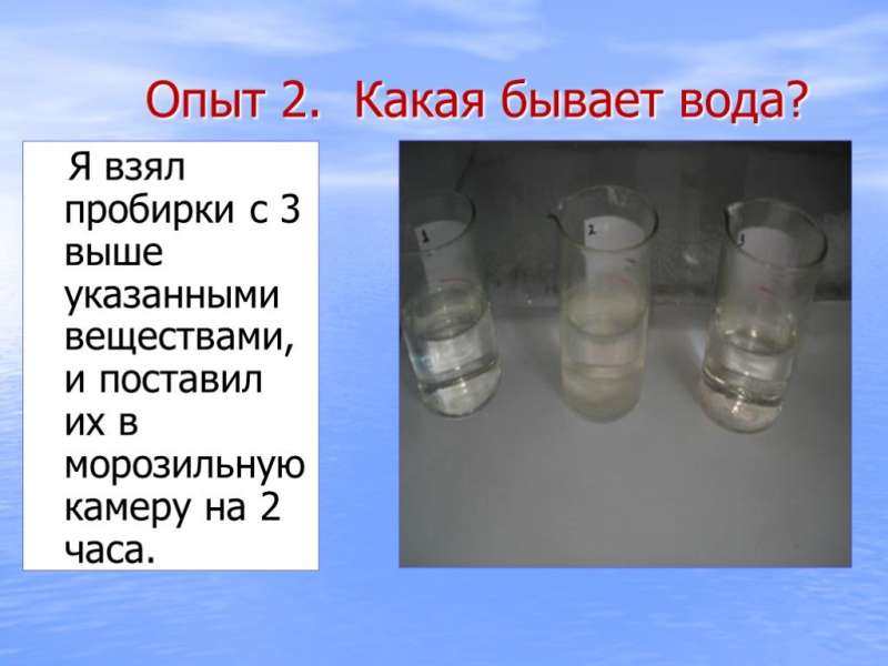 screen19.jpg