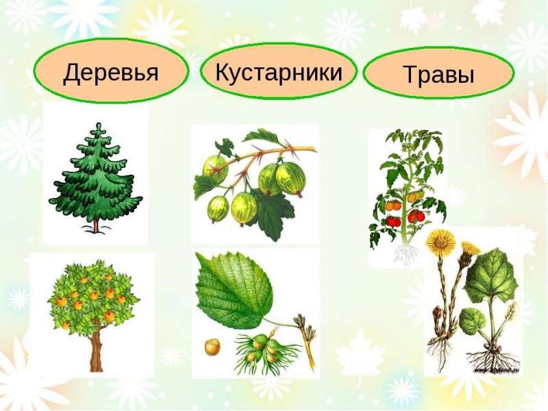 Рисунок2.jpg