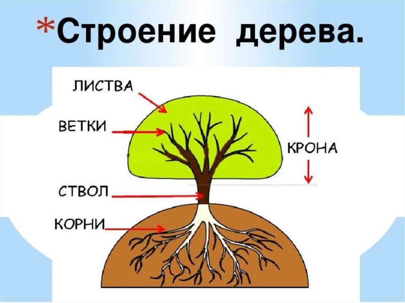 Рисунок3.jpg