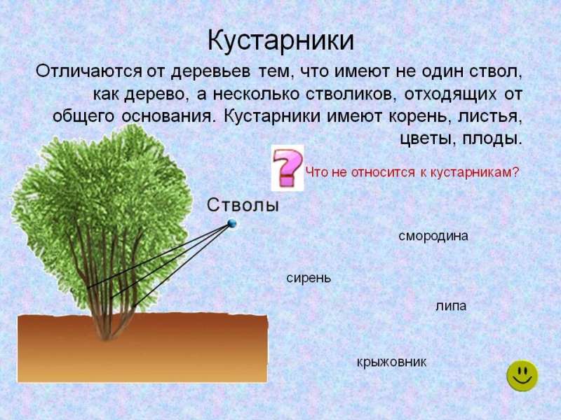 Рисунок4.jpg