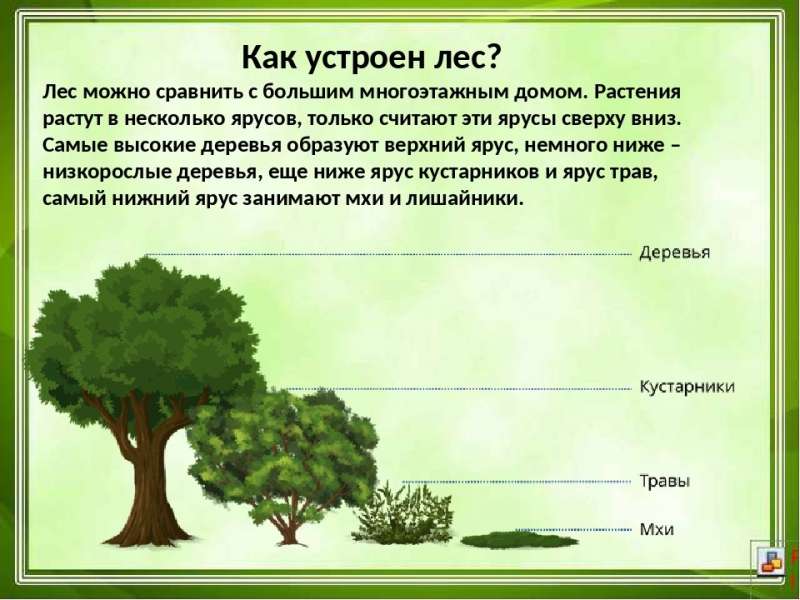 Рисунок5.jpg