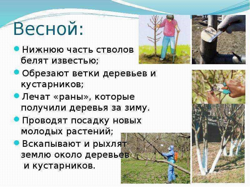 Рисунок6.jpg