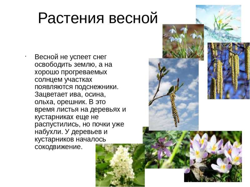 Рисунок8.jpg