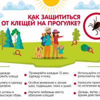 Как защититься от клещей?