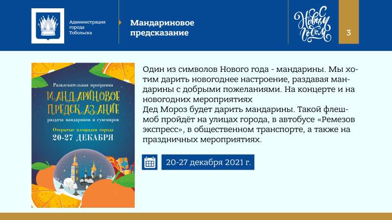 Kontseptsia_Novogodnikh_i_Rozhdestvenskikh_prazdnikov_v_Tobolske_2022_page-0003.jpg