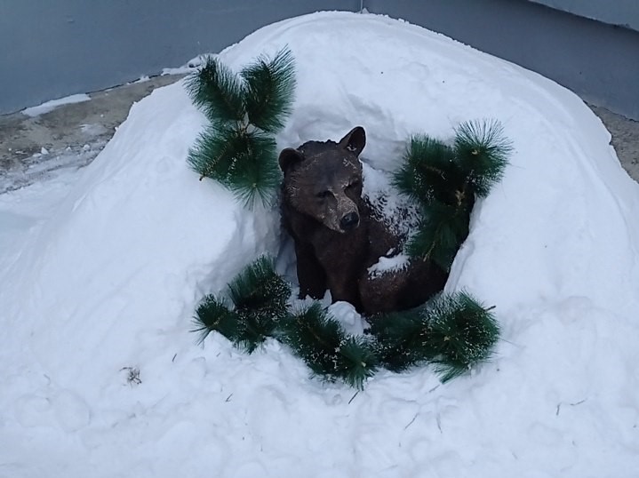 изображение_viber_2021-12-03_11-10-36-928.jpg