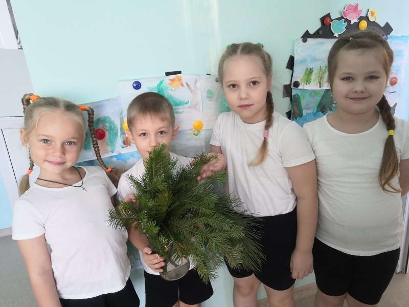 Деревья бывают разные! 