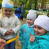 Удивительный мир природы
