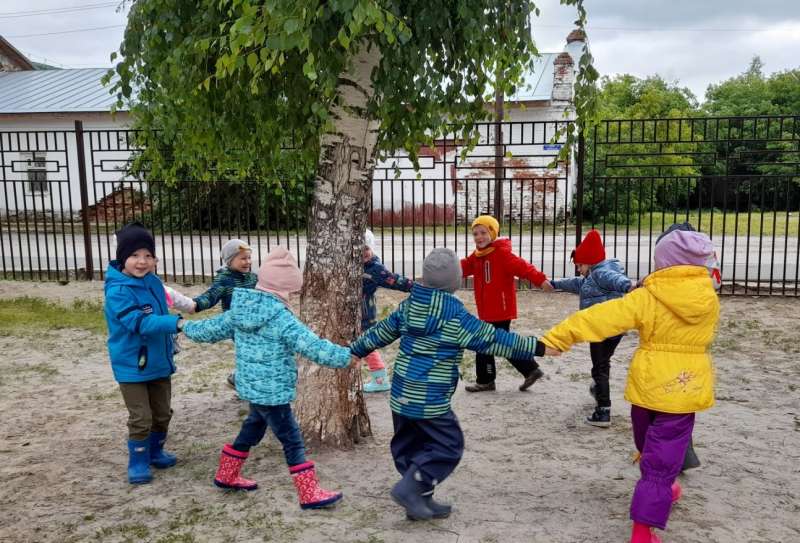 Белоствольная берёза – символ Родины моей!