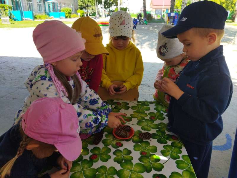 Что из чего и для чего?