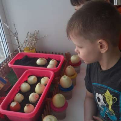 Что за чудо! Вот так класс! На подоконнике у нас.