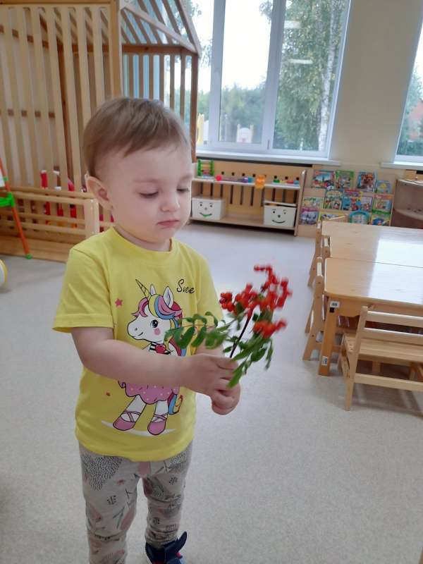 Что там за ягода алеет?