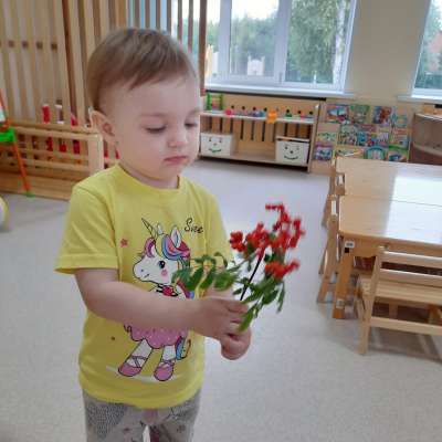 Что там за ягода алеет?