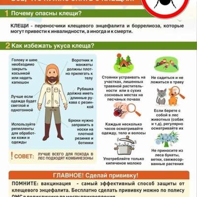 Всё, что нужно знать о клещах!
