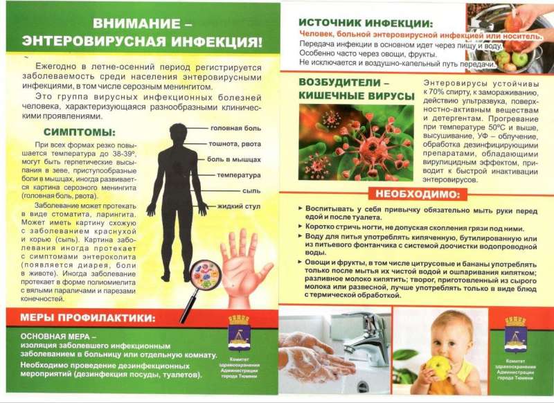 Внимание! Энтеровирусная инфекция!