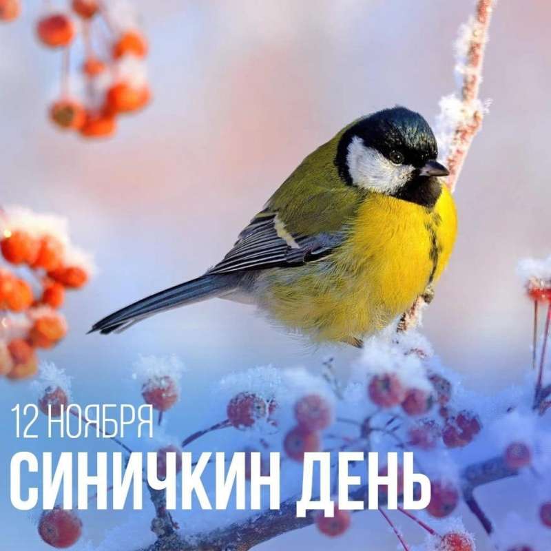 Синичкин день