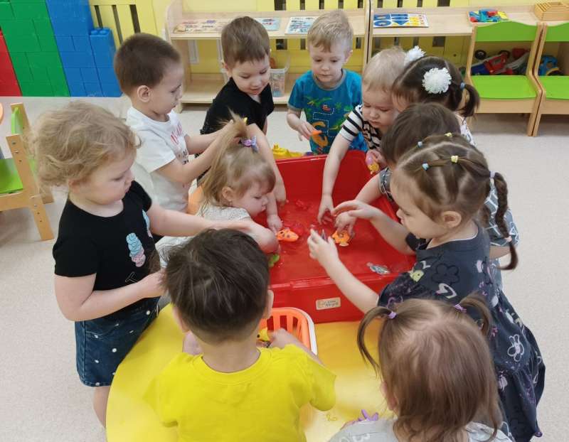 Маленькие исследователи