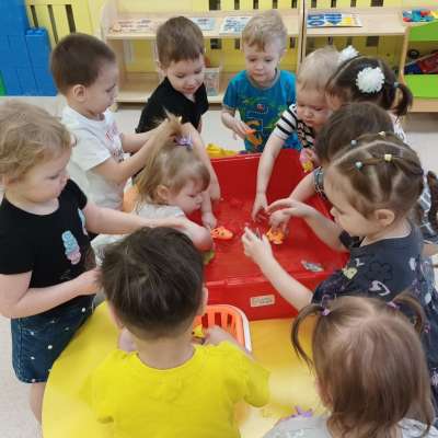 Маленькие исследователи