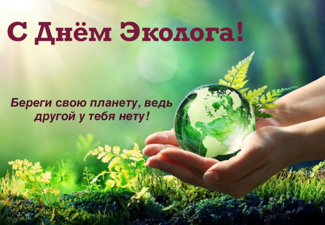 День эколога в средней группе «Обучайка»!