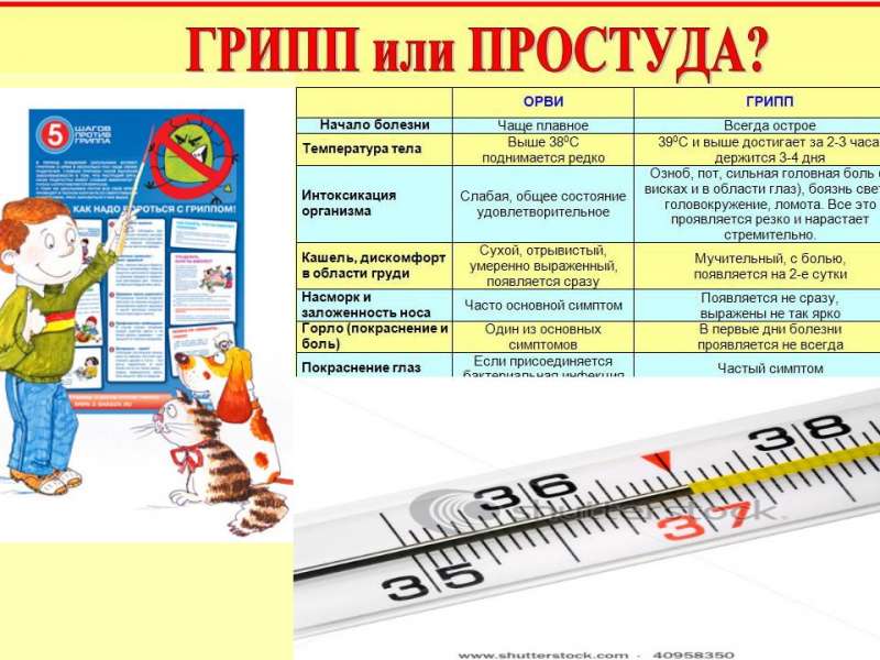 2 Презентация Профилактика ОРЗ и гриппа - 04.jpg