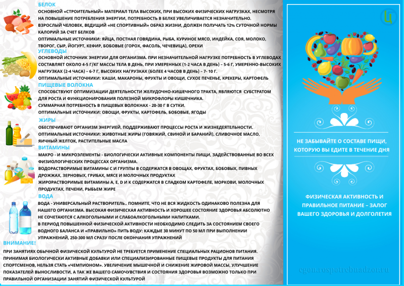 Питание и физическая активность 1.png