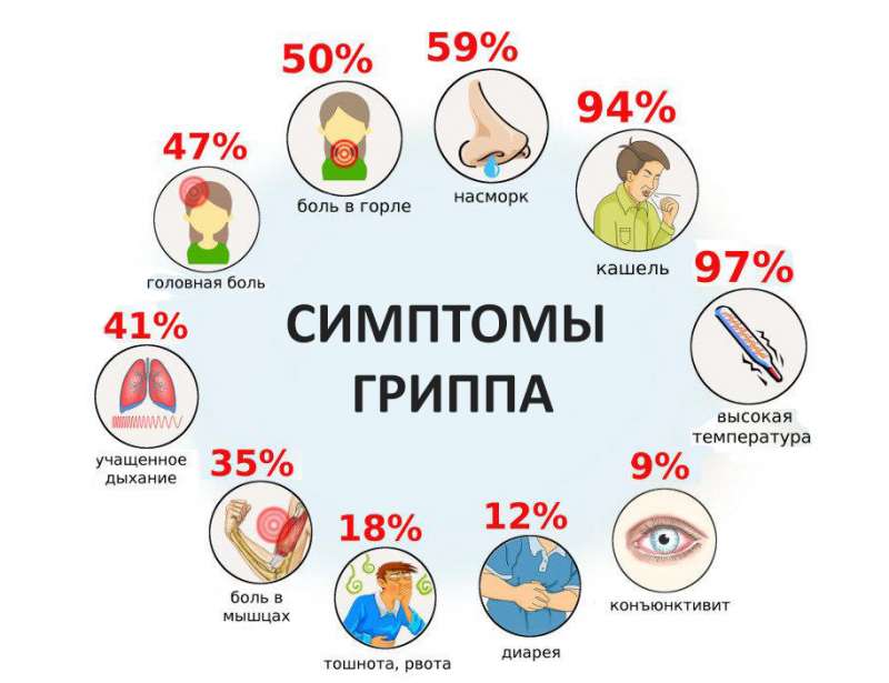 Профилактика гриппа и ОРВИ