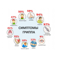Профилактика гриппа и ОРВИ