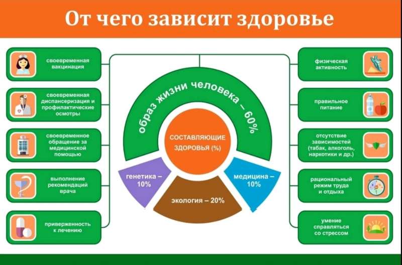 От чего зависит здоровье?