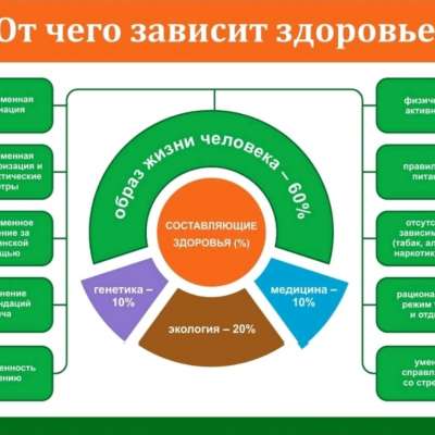 От чего зависит здоровье?