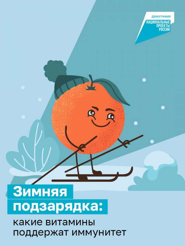 Зимняя подзарядка