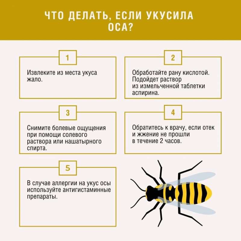 Если укусила оса