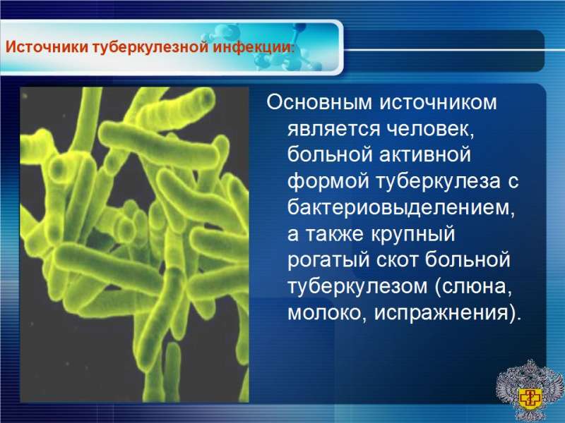 Лекция туберкулез - 04.jpg